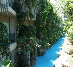 Maya Sanur Room View