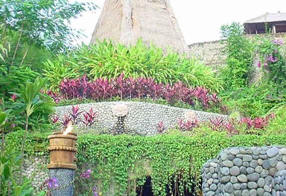 blog-image
